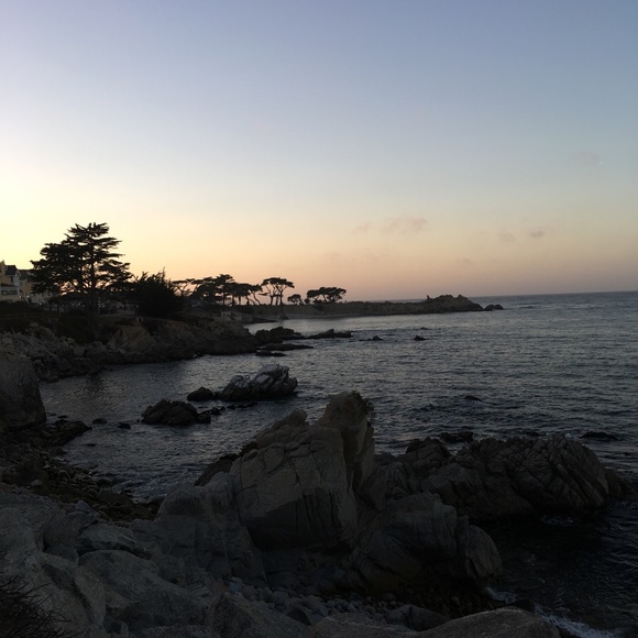 Meet your Posher, Sydney - Picture 2 of 3